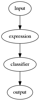 digraph flow {
     Input-> expression-> classifier->output;
}